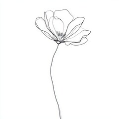 Line art flower symbolizing elegance and simplicity