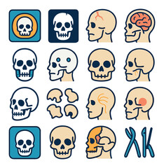 skull medical modern flat style.CT scan skull,X-ray skull,fractured skull,brain inside skull,jaw surgery,skull implants,skull base,skull reconstruction,3D skull