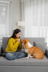 Smiling and friendly Asian female veterinarian examining dog with stethoscope and taking notes on clipboard in clinic. Veterinarian concept.