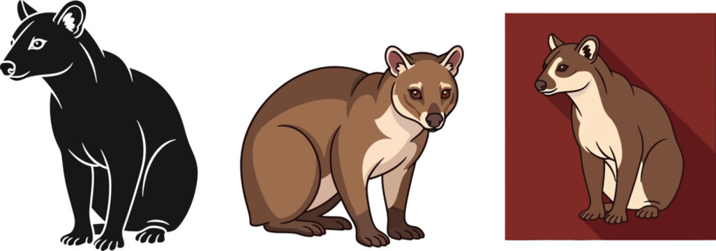 Three fossa illustrations showcase the unique Malagasy carnivore in different styles, highlighting its distinctive features and potential for educational or design purposes.