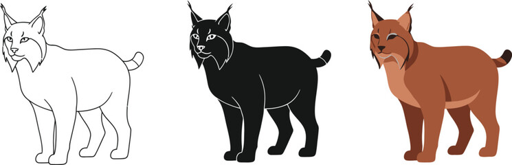 Obraz premium Three lynx illustrations showcase the wildcat in different styles, including a line drawing, a solid black silhouette, and a colored version, perfect for educational or design projects.