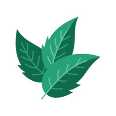 Three stylized green leaves illustration on white background with visible veins and simple design