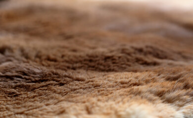 A close up view of the fur on the surface of kangaroo skin.