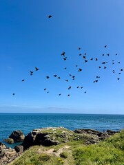 Beautiful view of the sea and rocks in Greyhope Bay, Aberdeen