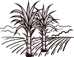 Obraz premium Sugarcane plants on cultivated field vintage black line sketch of sugarcane farming landscape with agricultural background