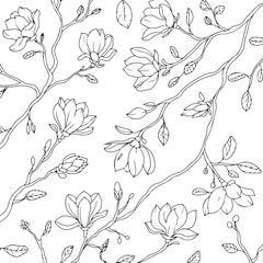 Fototapeta premium Black and white line art of magnolia branches and flowers