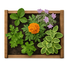 Vibrant Herb Garden in Wooden Planter