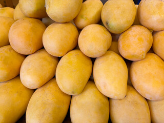 Closeup of ripe yellow mangoes, arranged in a neat pile.