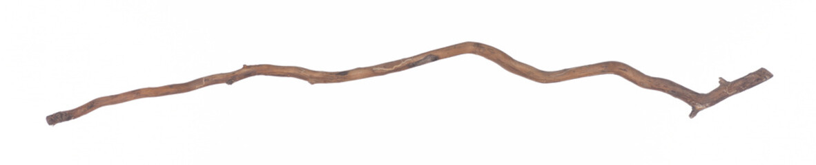 old dry long stick isolated on white background