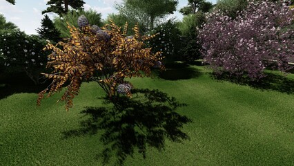 3d image of the landscape design of the home territory. Landscaping of the territory. Computer visualization of composite landscaping and landscaping solutions.