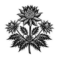 Floral design element black and white flower illustration nature inspired botanical drawing art vector