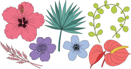 Tropical flowers, botanical illustration, exotic floral clipart, palm leaf art, colorful nature elements, floral vector set, hand drawn plants