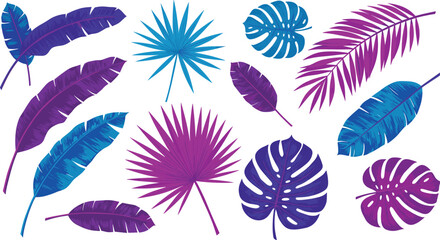 Tropical leaves, colorful botanical illustration, exotic palm foliage, banana leaves, monstera plant, jungle design, summer decoration, vibrant nature art