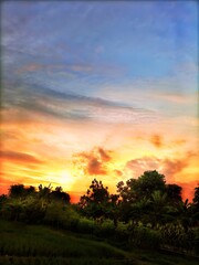 Fototapeta premium sunset over the field (done with edited)