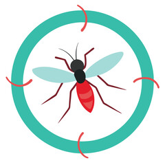 Mosquito Life Cycle Vector Illustration Diagram with Stages and Details