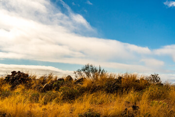 Paisaje en la Isla de La Palma, Islas Canarias.
