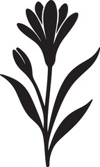 tuberose flower  রজনী গন্ধা ফুল