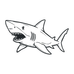 Obraz premium Aggressive shark sketch in black and white with open mouth. Hand draw vector illustration