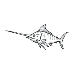 Swordfish sketch with long bill and fins detailed black line drawing. Hand draw vector illustration
