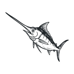 Black and white swordfish drawing with long bill and detailed fins. Hand draw vector illustration