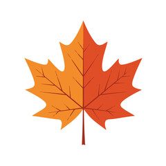 Vector Illustration of Autumn Maple Leaf Isolated on White Background
