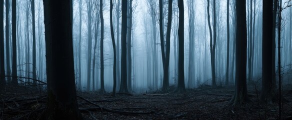 Naklejka premium The Foggy Forest Path Revealing Nature's Mystique and Serenity