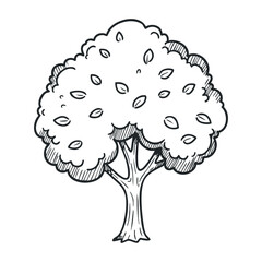 Hand-drawn tree outline with detailed leaves on white background. Hand drawn vector illustration