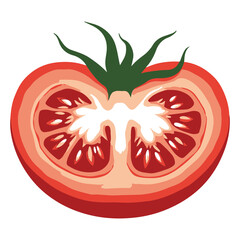 Fresh Tomato Slice Hand Drawn Vector Illustration