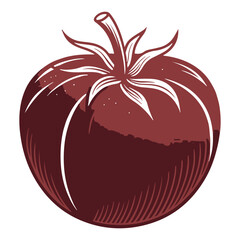 Dark Purple Tomato Hand Drawn Vector Illustration