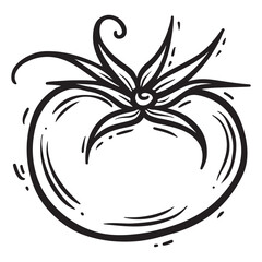 Black and White Tomato Outline Sketch Vector