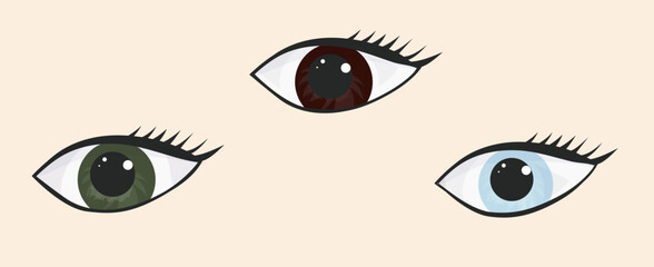 Collection of eyes. Concept vector illustration