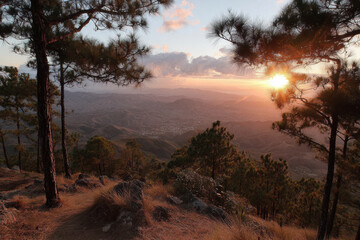 breathtaking sunsets in various countries showcasing vibrant colors and serene beauty especially in forests