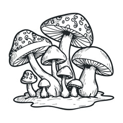 Intricate black and white drawing of various mushroom types with detailed patterns. Hand drawn vector illustration