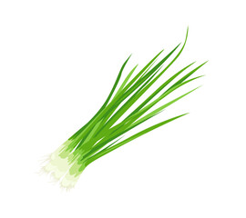 Bunch of scallions  isolated on white background. Fresh green onion vector cartoon flat illustration. Food icon.