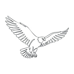 Fototapeta premium Outline of bald eagle in flight with majestic wingspan. Outline vector illustration