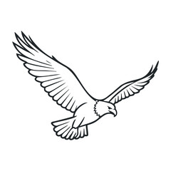 Obraz premium Monochrome eagle drawing with detailed wings and fierce expression in flight. Outline vector illustration
