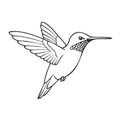 Obraz premium Minimalist black and white line drawing of a hummingbird in flight. Outline vector illustration