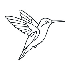 Hummingbird outline: detailed line art of a flying bird design with spread wings. Outline vector illustration