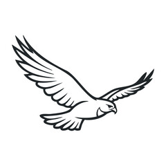 Monochrome falcon sketch with outstretched wings in flight. Outline vector illustration