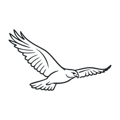 Black and white line drawing of a graceful soaring falcon with outstretched wings. Outline vector illustration