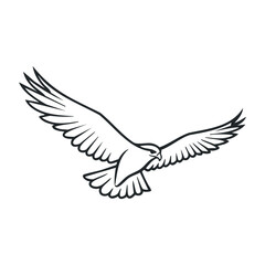 Fototapeta premium Majestic hawk in flight with outstretched wings - monochrome line art illustration. Outline vector illustration