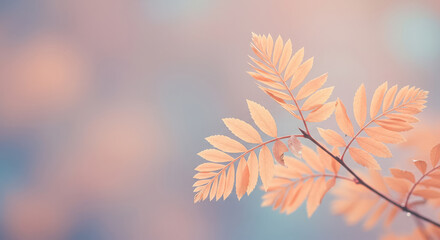 Close up of autumn leaves on a branch with a soft pastel colored background