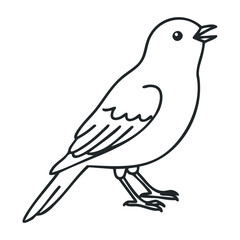 Outline drawing of singing bird with open beak. Outline vector illustration