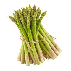 Fresh green asparagus spears tied together with twine isolated on transparent background