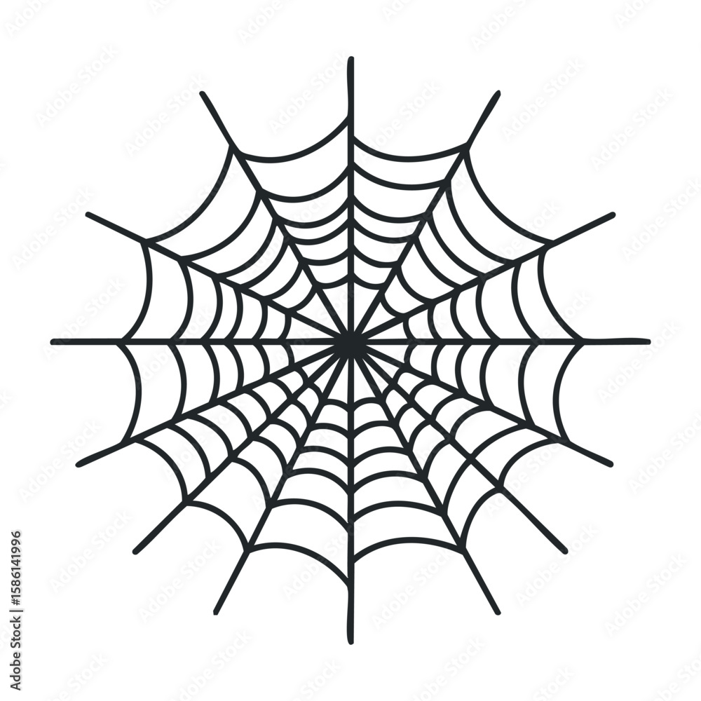 Wall mural symmetrical spider web on white background featuring intricate patterns. outline vector illustration