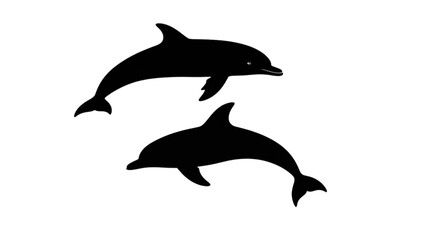 dolphin vector illustration