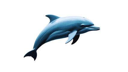 dolphin on white background