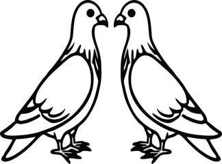 two birds on a white background