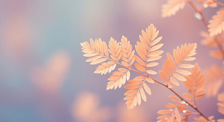Close up of peach colored leaves on a branch against a dreamy soft background