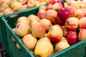 Close-up of organic farm apples in the market for sale in crates.